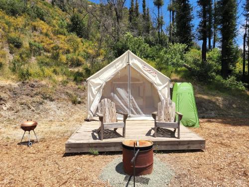 Tentrr Signature Site - Mystic Mountain Redwood Grove Camp - image 3