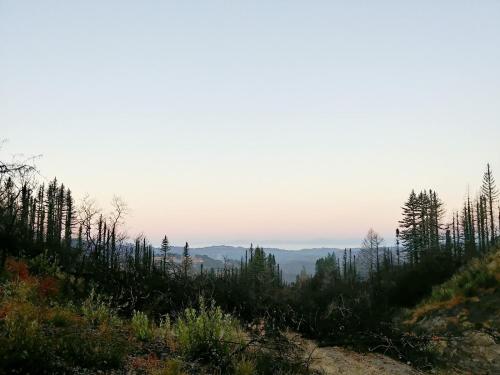 Tentrr - Mystic Mountain Petrified Camp - image 11