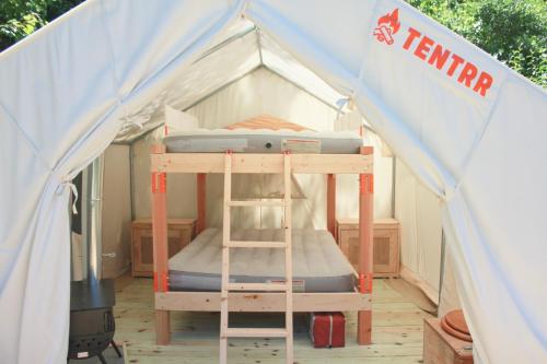 Tentrr Signature Site - Mystic Mountain Redwood Grove Camp - image 5