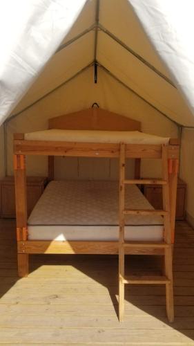 Tentrr Signature Site - Mystic Mountain Redwood Grove Camp - image 6
