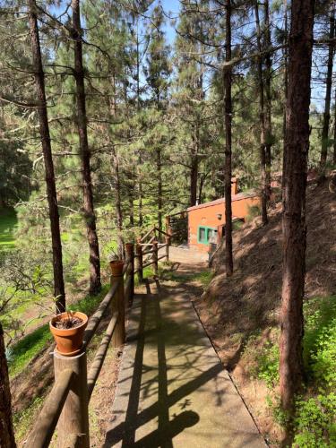 Casa Rural en medio del bosque, El Lance