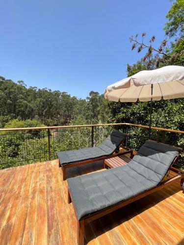 Vista, Dúplex de invitados en medio del bosque (Duplex de invitados en medio del bosque) in Firgas
