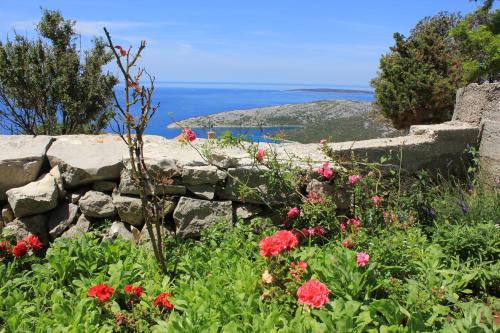 Holiday house with WiFi Ustrine, Cres - 8037