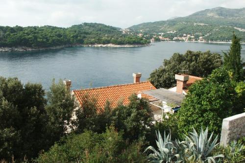  Apartments by the sea Stikovica, Dubrovnik - 2131 in Štikovica