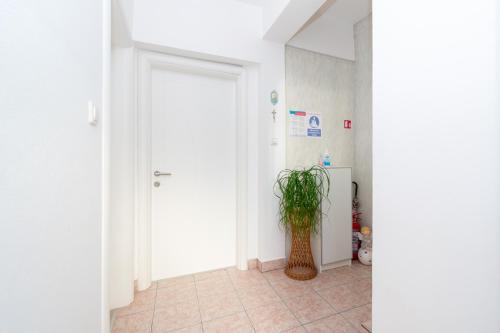 Apartment Mandre 4093b - main image