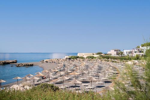 Kakkos Beach Hotel - Adults Only - image 14