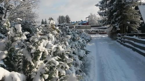 Apkārtne, Nurdachhaus Ferienpark Schellbronn in Neuhausen (Baden-Wurttemberg)