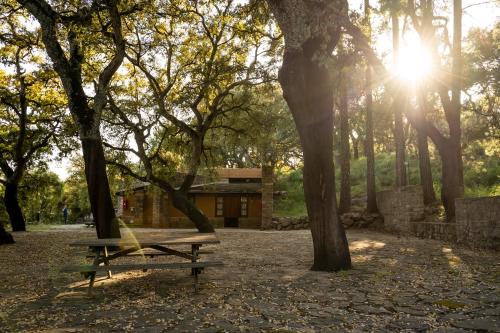 Albergue Inturjoven Cortes De La Frontera - image 13