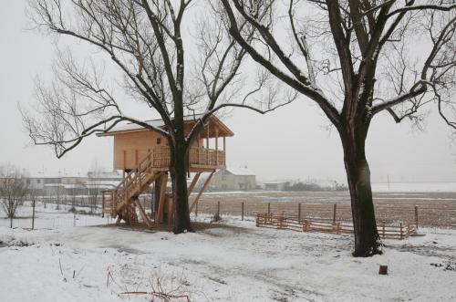 La Casa sull'albero Oasi Certosa di Pavia