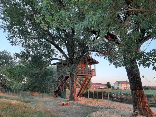 La Casa sull'albero Oasi Certosa di Pavia