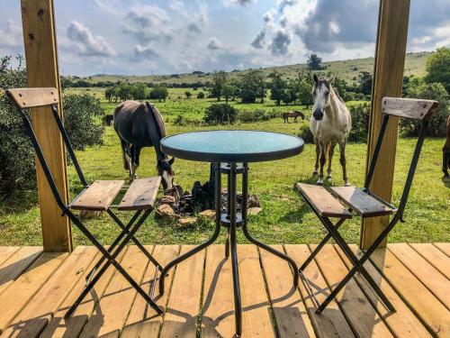 Bungalow de campo Torero - sierras, naturaleza y relax in มินาส