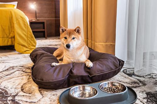 Palangos Vetra - image 6