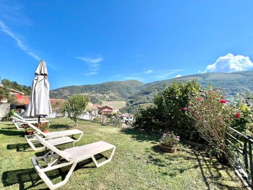 . Nice apartment with FreeWifi, fireplace and terrace in Asturias