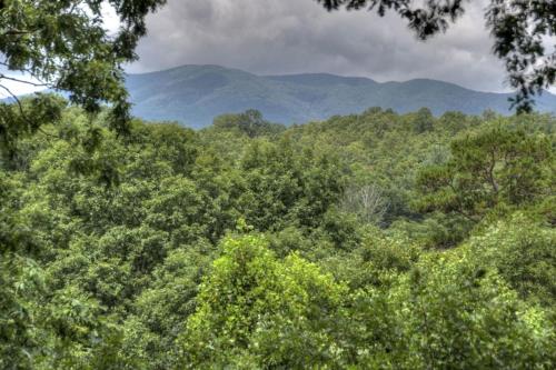 Crooked Creek View Near Ocoee River, With Hot Tub