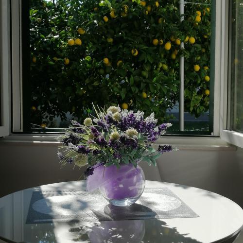Tonina - private jacuzzi, free parking, terrace, Split (Foto 4)