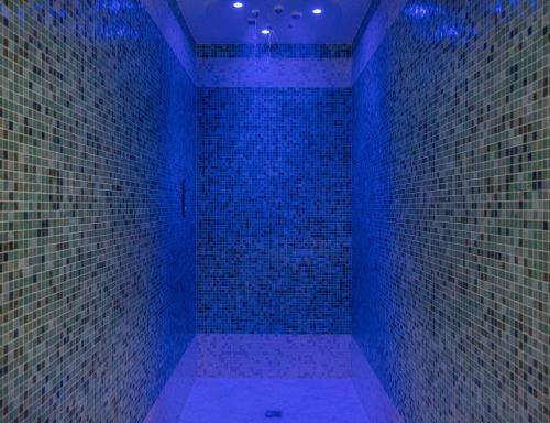 L'Orangerie du Château des Reynats - image 5