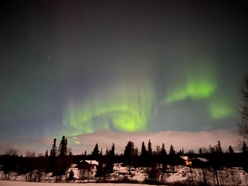 Måsåplassen Friisvegen Mountain Lodge