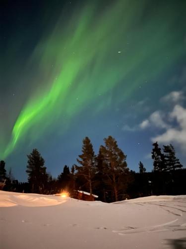 Måsåplassen Friisvegen Mountain Lodge