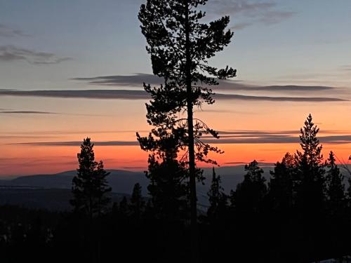 Måsåplassen Friisvegen Mountain Lodge