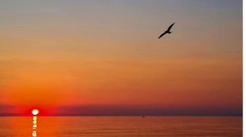 vacanze per tutti rialzato dx - image 9