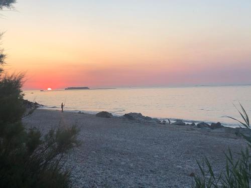 Sur le chemin de la plage