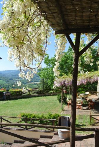 Borgo di Monte Murlo