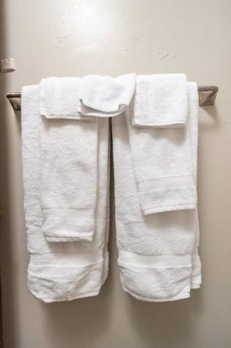 HEIRS LIVING : SECURE - Near Hospitals and Downtown . Pet Friendly . 2BR Fully Furnished . Washer and Dryer . Fast WiFi in Pineville, USA