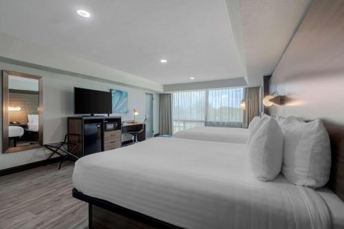 Double room, large