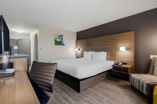Best Western Corpus Christi Airport Hotel - image 13