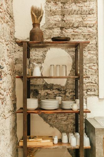 402994135 Orchid House San Miguel de Allende