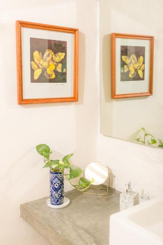 402994147 Orchid House San Miguel de Allende