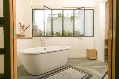 402994164 Orchid House San Miguel de Allende