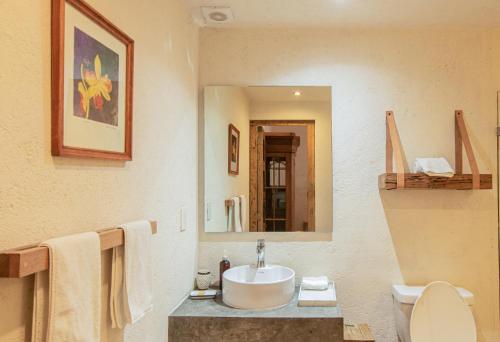 402994352 Orchid House San Miguel de Allende