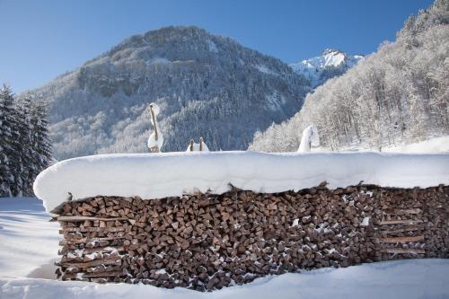 Alps Hoamat - main image