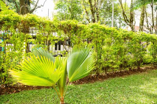 Casa en Laureles Privada, Acogedora, Cómoda y Amplia