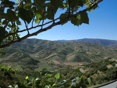 Näkymä, HI Foz Coa - Pousada de Juventude in Vila Nova de Foz Coa