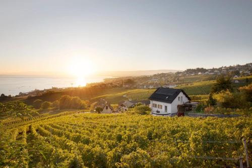 #Lavaux in Lutry, Schweiz