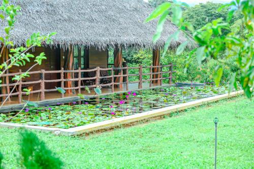 Sigiriya Water Cottage