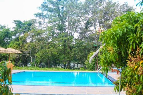 Sigiriya Water Cottage