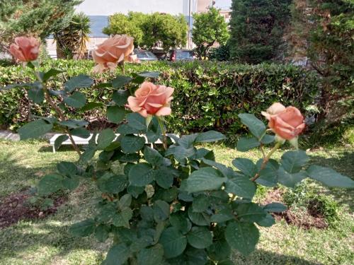 Villa Silvia b&b 3