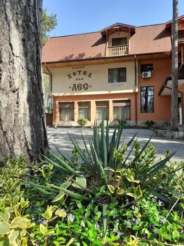 Hotel Les, 