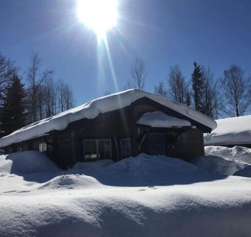 . StugaNäraKungsberget - mysig stuga med kamin, grillkåta och vedbastu