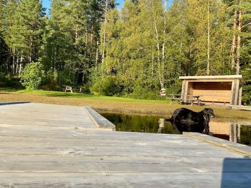 StugaNäraKungsberget - mysig stuga med kamin, grillkåta och vedbastu