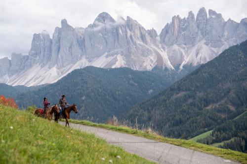  Gruberhof Coll in Villnöss