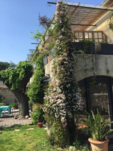 Dārzs, Charming stone villa with pool & garden in Montaren-et-Saint-Mediers