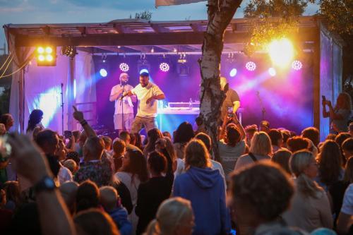 Surfviken - image 10