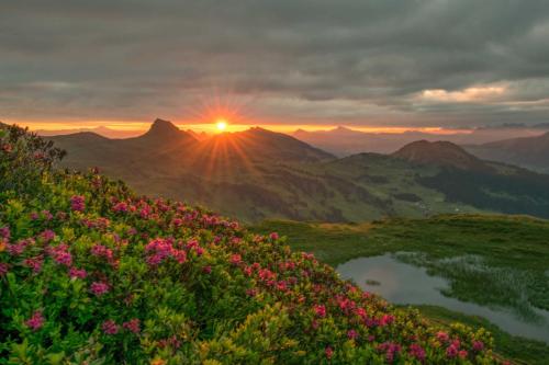 Ferienwohnung Haus Annabelle Top 3 in ดามูลส์