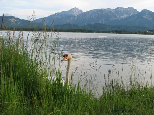 卡萨菲森酒店 卡萨菲森酒店