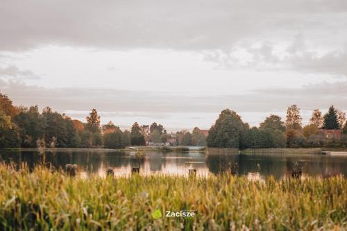 Półwysep Zacisze - Tiny House Village