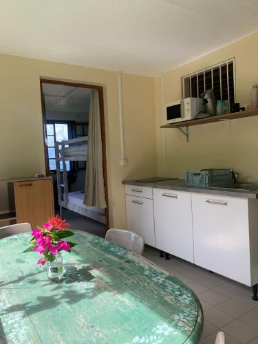 bucătărie, Top Hill Hostel- Martinique- auberge dortoir in La Trinite